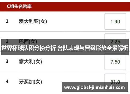 世界杯球队积分榜分析 各队表现与晋级形势全景解析