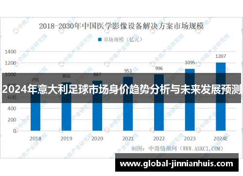 2024年意大利足球市场身价趋势分析与未来发展预测