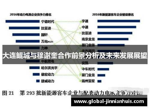 大连鲲城与穆谢奎合作前景分析及未来发展展望