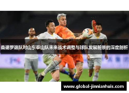 桑德罗退队对山东泰山队未来战术调整与球队发展前景的深度剖析