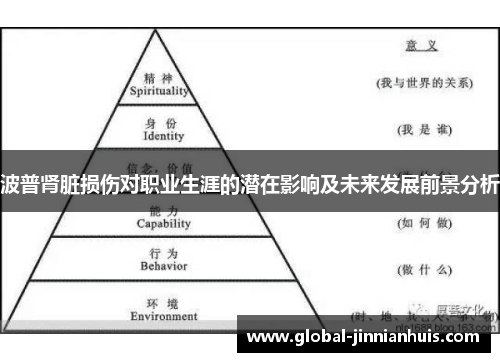 波普肾脏损伤对职业生涯的潜在影响及未来发展前景分析
