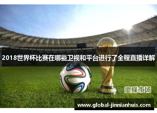 2018世界杯比赛在哪些卫视和平台进行了全程直播详解