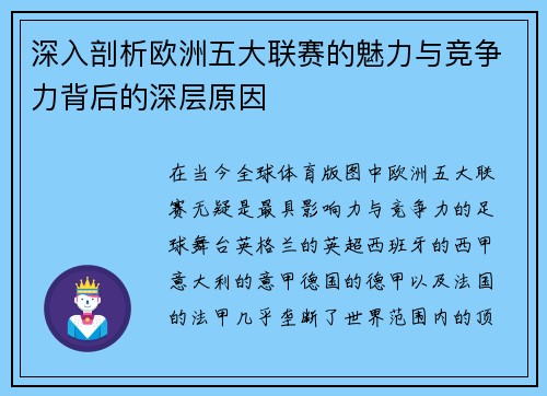 深入剖析欧洲五大联赛的魅力与竞争力背后的深层原因