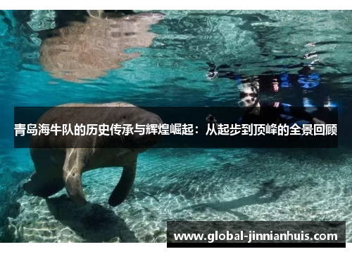 青岛海牛队的历史传承与辉煌崛起：从起步到顶峰的全景回顾